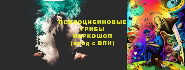 дурь Богородицк
