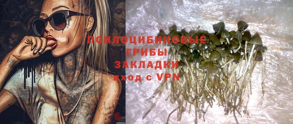дурь Богородицк