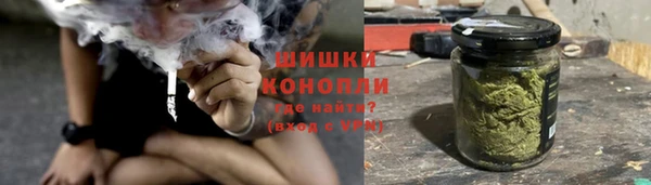 твердый Богданович