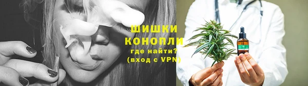 твердый Богданович
