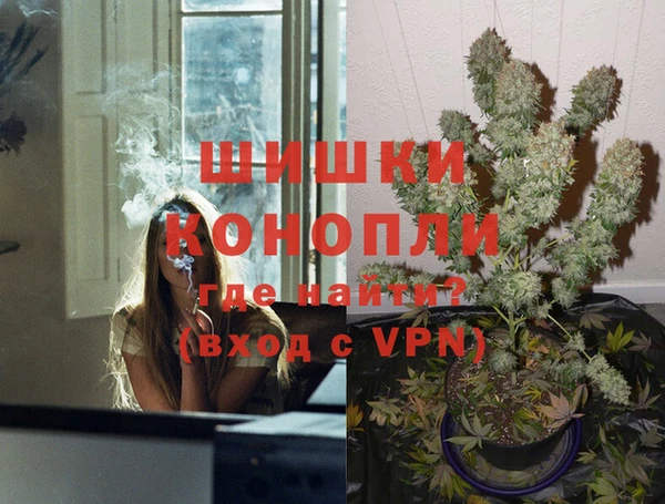 дурь Богородицк