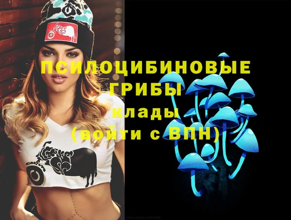 твердый Богданович