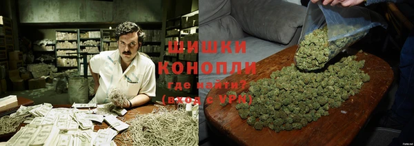дурь Богородицк