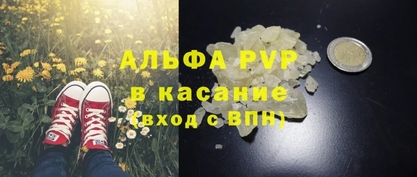 твердый Богданович