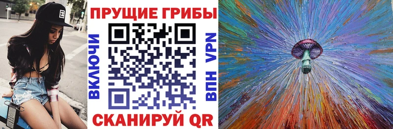 Псилоцибиновые грибы прущие грибы купить наркотики цена Черкесск